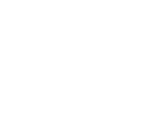 NLC电子(中国)集团