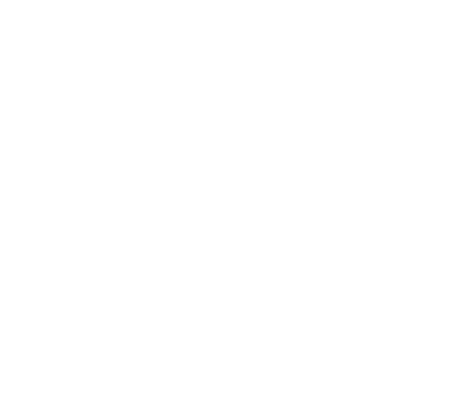 NLC电子(中国)集团