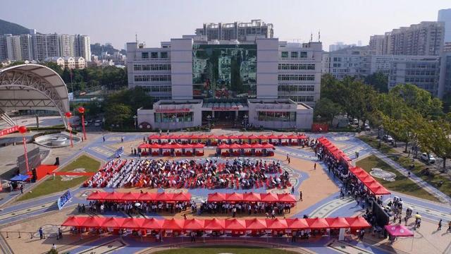 NLC电子(中国)集团