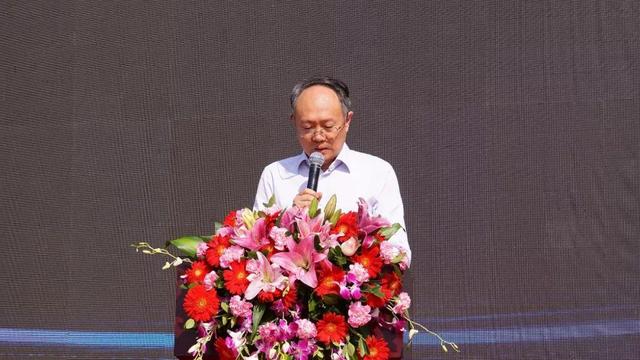 NLC电子(中国)集团