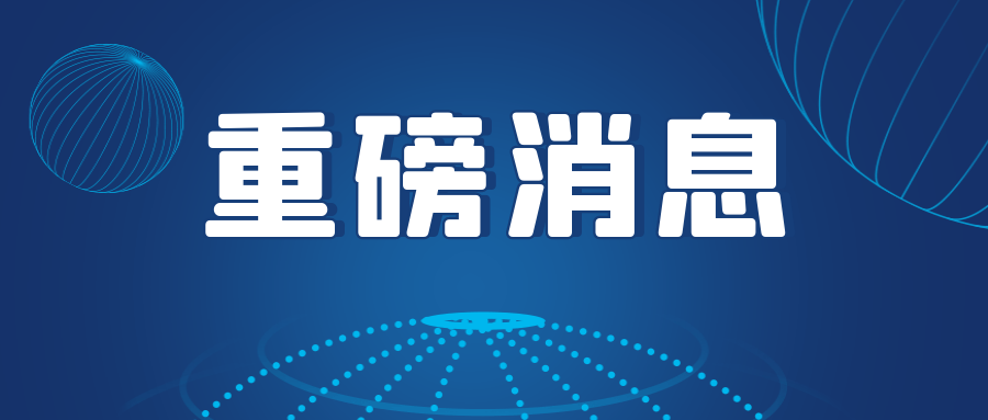 NLC电子(中国)集团