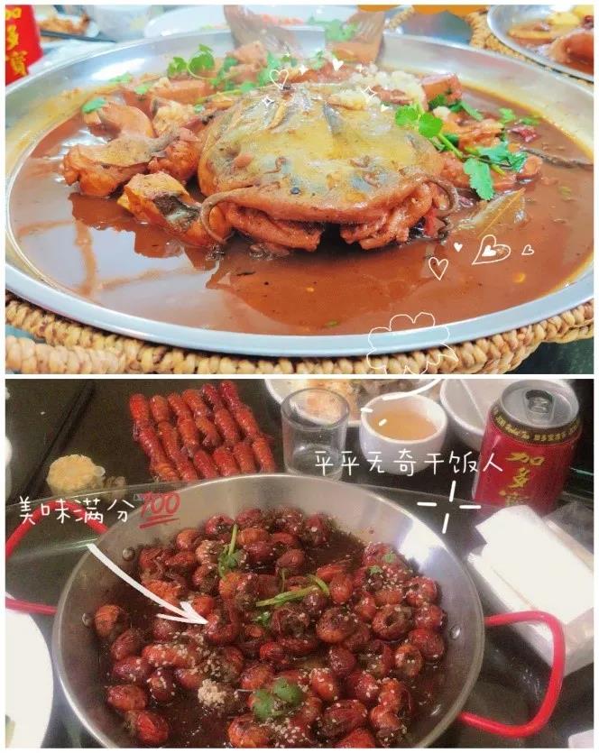 NLC电子(中国)集团