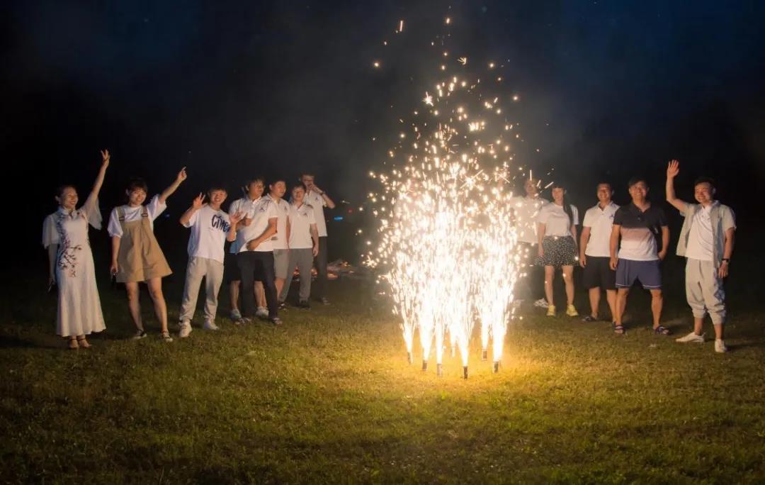 NLC电子(中国)集团