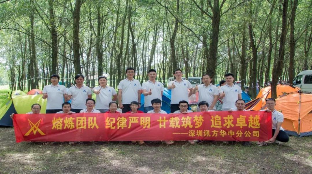 NLC电子(中国)集团