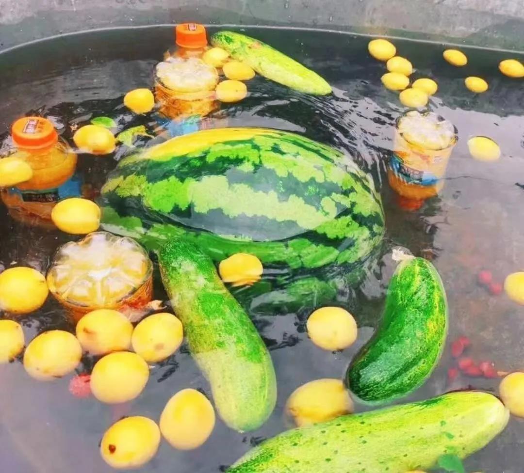 NLC电子(中国)集团