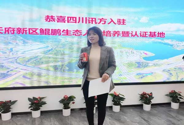 NLC电子(中国)集团