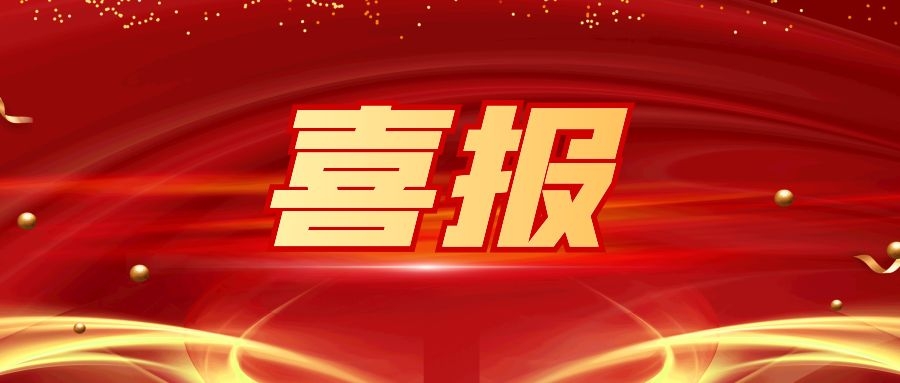 NLC电子(中国)集团