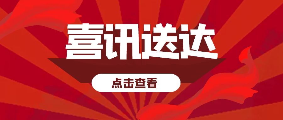 NLC电子(中国)集团