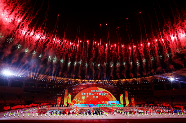 NLC电子(中国)集团