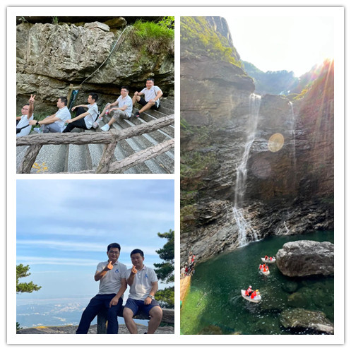 NLC电子(中国)集团