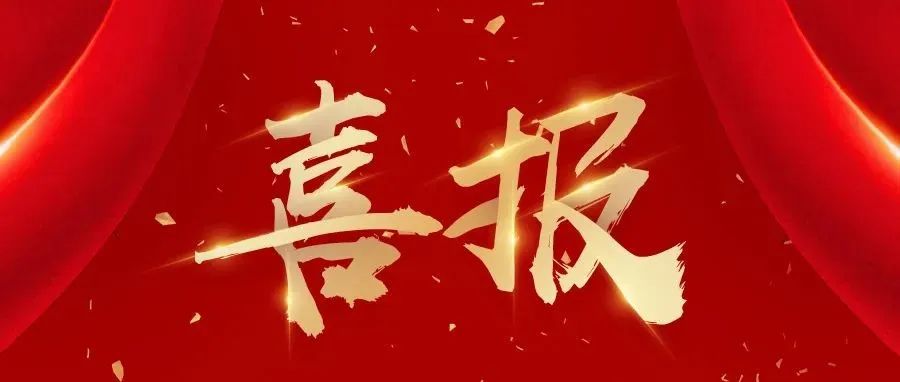 NLC电子(中国)集团