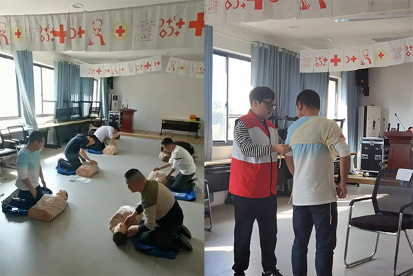 NLC电子(中国)集团