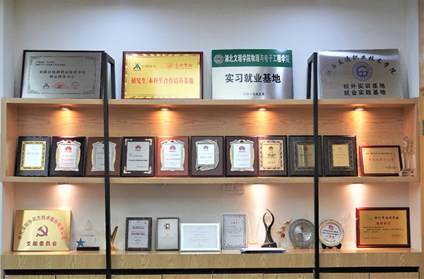NLC电子(中国)集团