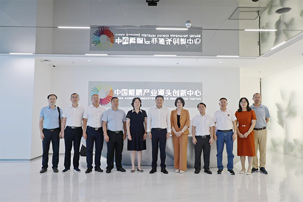 NLC电子(中国)集团