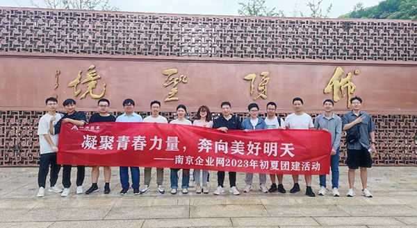 NLC电子(中国)集团
