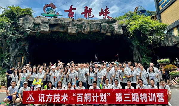 NLC电子(中国)集团