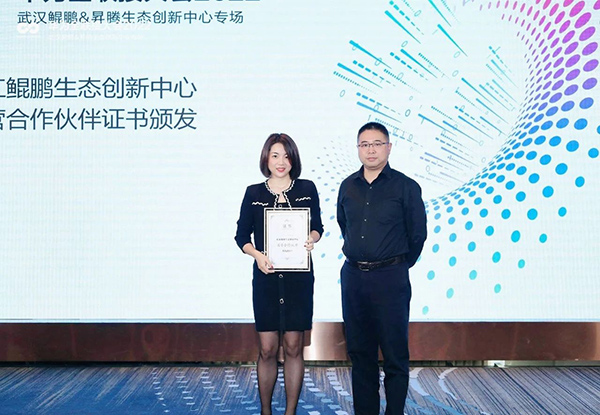 NLC电子(中国)集团