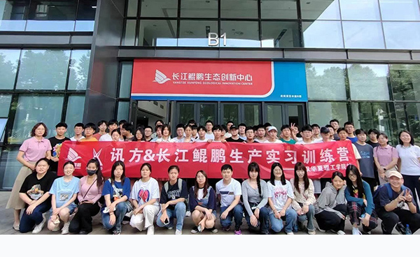 NLC电子(中国)集团