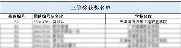 NLC电子(中国)集团