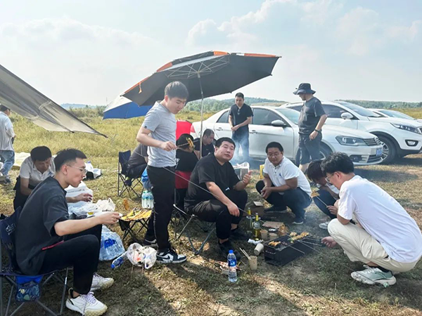 NLC电子(中国)集团