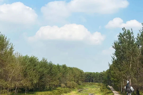 NLC电子(中国)集团
