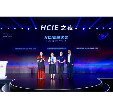 NLC电子(中国)集团