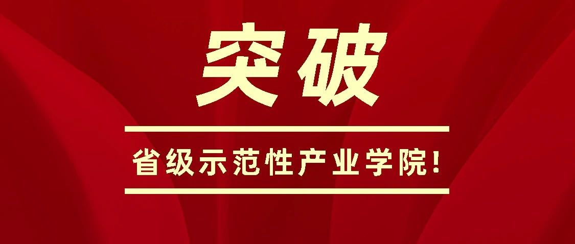 NLC电子(中国)集团