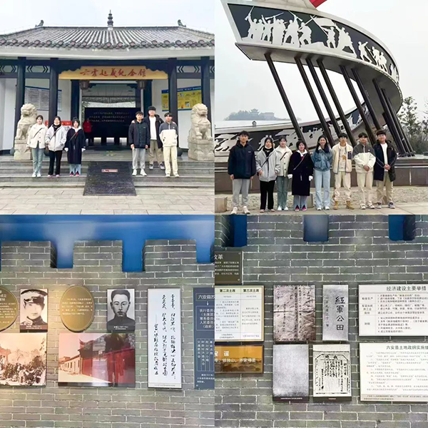 NLC电子(中国)集团