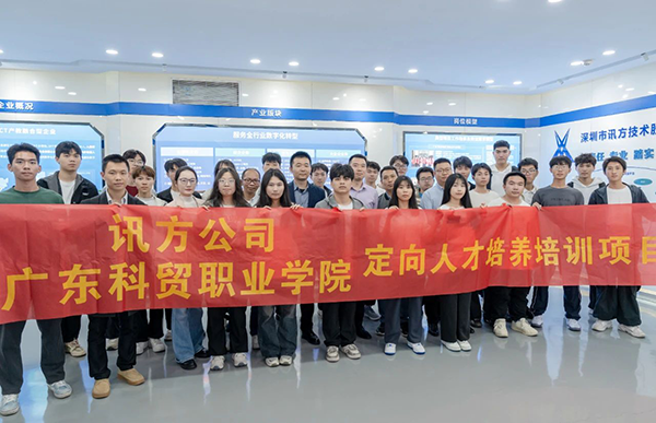 NLC电子(中国)集团