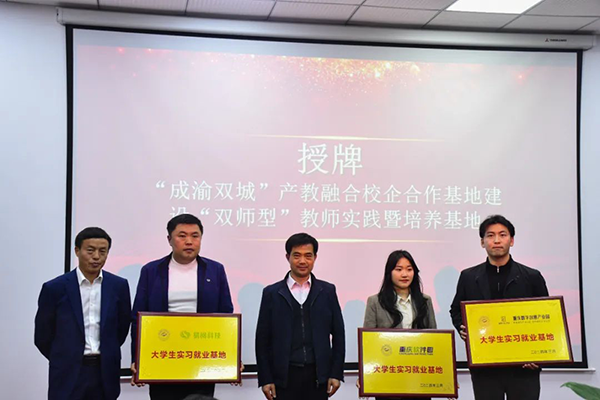 NLC电子(中国)集团