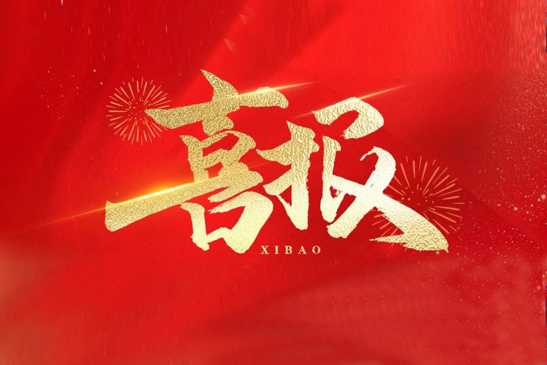 NLC电子(中国)集团