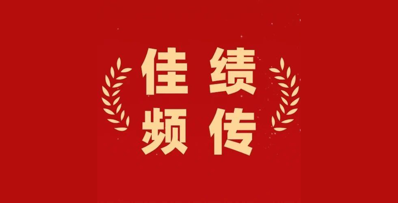 NLC电子(中国)集团