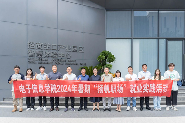 NLC电子(中国)集团
