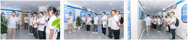NLC电子(中国)集团