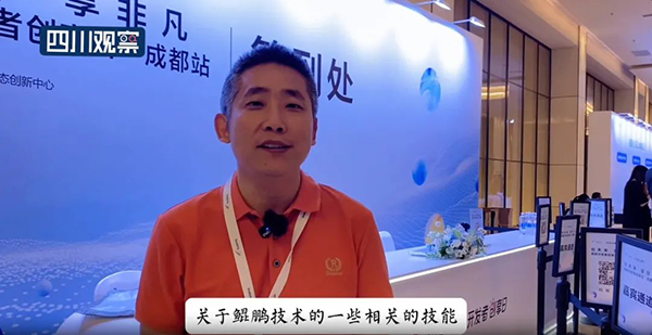 NLC电子(中国)集团