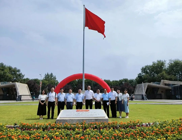 NLC电子(中国)集团