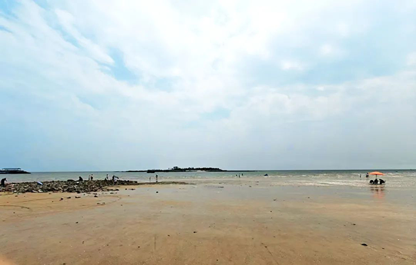 NLC电子(中国)集团