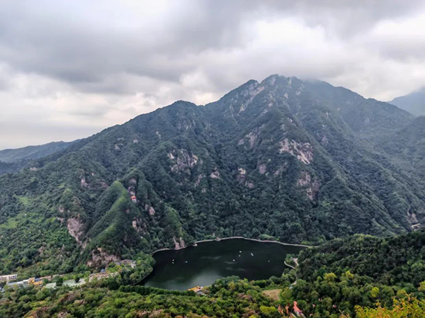 NLC电子(中国)集团