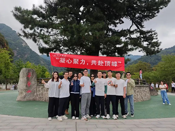 NLC电子(中国)集团