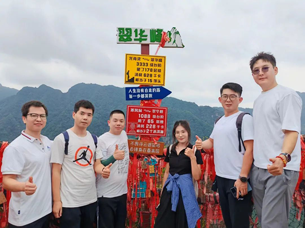 NLC电子(中国)集团