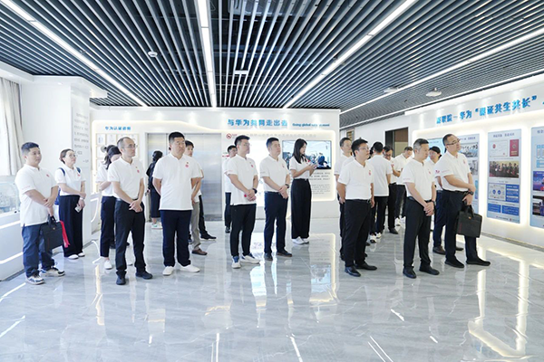 NLC电子(中国)集团