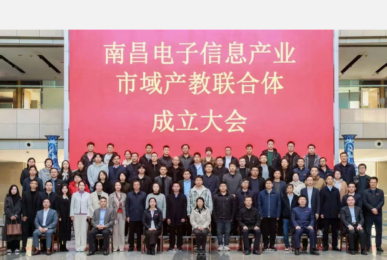 NLC电子(中国)集团
