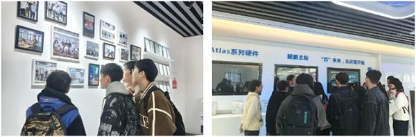 NLC电子(中国)集团