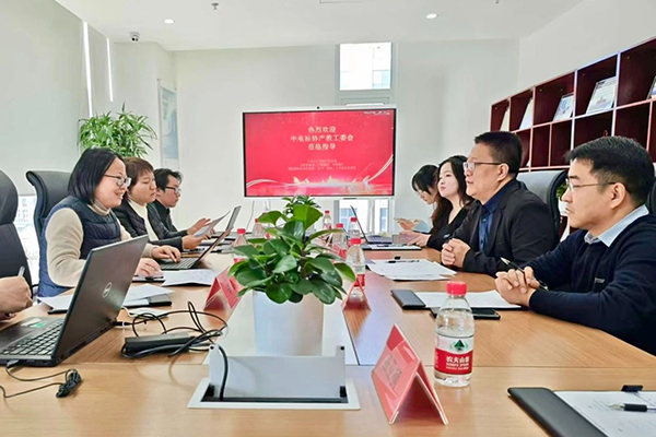 NLC电子(中国)集团