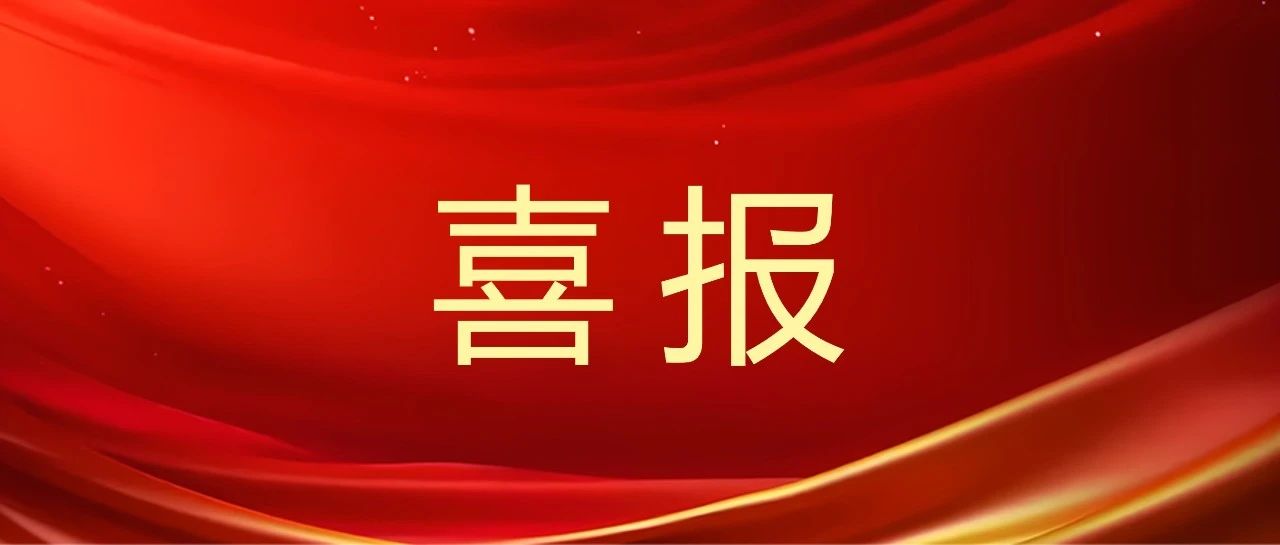 NLC电子(中国)集团