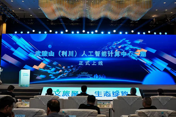 NLC电子(中国)集团