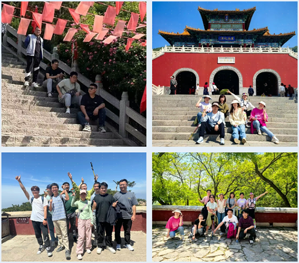 NLC电子(中国)集团