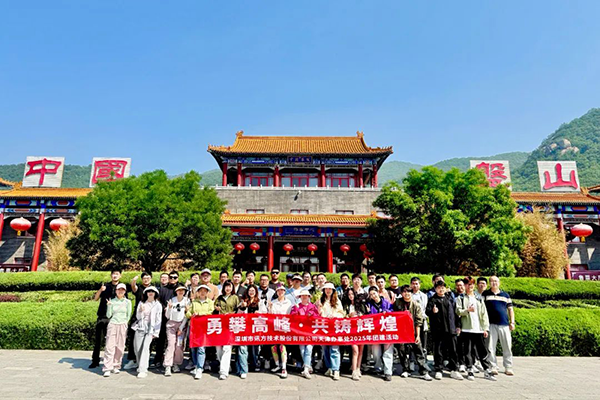 NLC电子(中国)集团
