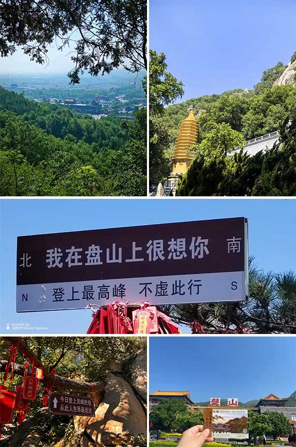 NLC电子(中国)集团