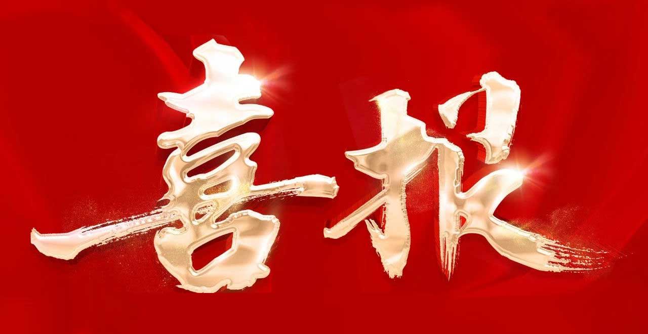 NLC电子(中国)集团